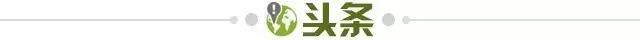 开云体育官网-【早报】老佛爷06年录音：劳尔是骗局！卡西是舔狗！